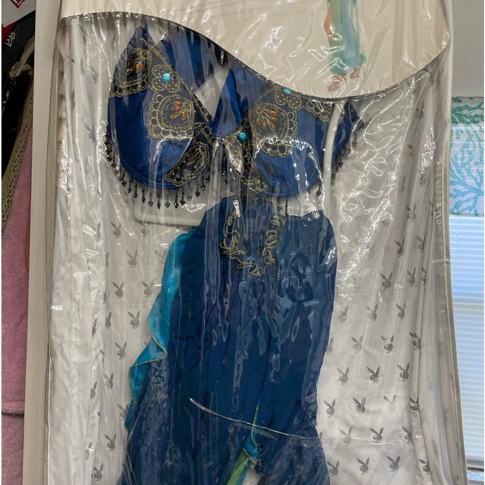 Just like new Halloween costume - Belly Dancer